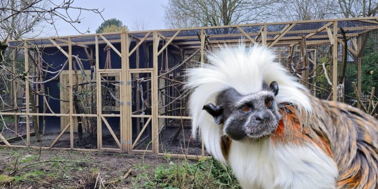 Het nieuwe verblijf in Faunapark Flakkee.