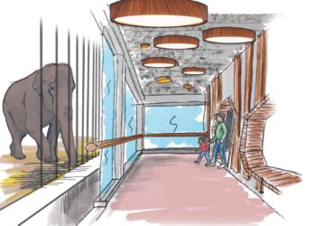 Burgers’ Zoo kondigt uitbreiding olifantenverblijf aan