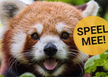 Quiz: Wat weet jij over het dierentuinnieuws van januari?