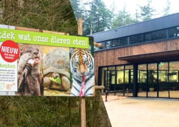 Binnenkijken: dit is de nieuwe voederkeuken van Dierenpark Amersfoort