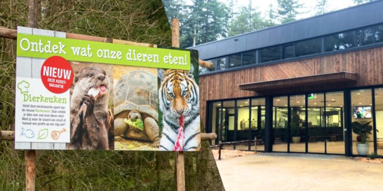 Nieuwe voederkeuken in Dierenpark Amersfoort. / Beeld: Dierenpark Amersfoort, Zoowieso