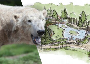 AquaZoo Leeuwarden lanceert making-of-serie over nieuw themagebied