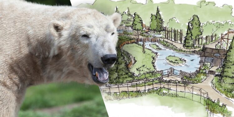 IJsbeer en impressie van Churchill, het nieuwe Noord-Amerikaase themagebied