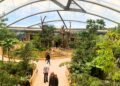 Foto’s: Neem een kijkje in de Meranti-Halle, een van de nieuwste tropenkassen in Europa