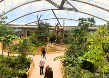 Foto’s: Neem een kijkje in de Meranti-Halle, een van de nieuwste tropenkassen in Europa