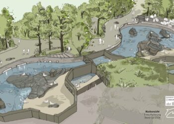 Duits dierenpark investeert 5,8 miljoen euro in nieuw zeeleeuwenverblijf