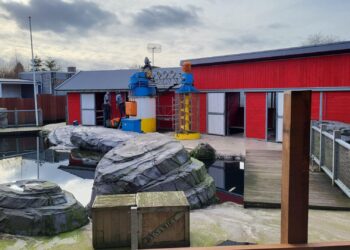 Foto’s: Wildlands Emmen bouwt theater om tot zeehondenverblijf