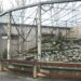 Pairi Daiza stopt met Afrikaanse olifanten: verblijf is ongeschikt