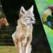Belgische dierentuin Pairi Daiza verwelkomt nieuwe dieren in jubileumjaar
