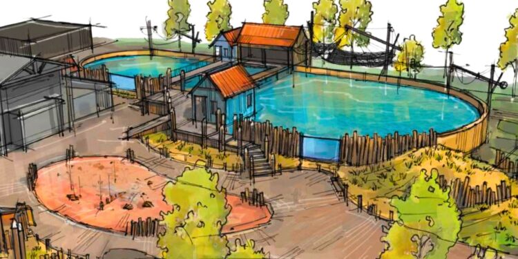 Impressie van het nieuwe bruinvissenverblijf van SOS Dolfijn in Dierenpark Hoenderdaell / Beeld: SOS Dolfijn