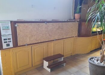 Noord-Hollands dierenpark heeft geen juiste vergunning: vissen moeten achter de schermen