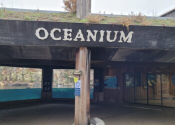 Fanclub Diergaarde Blijdorp betaalt bijzondere upgrade Oceanium