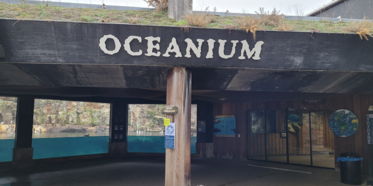 Bass Rock in het Oceanium krijgt een upgrade. / Beeld: Karol Mišovic