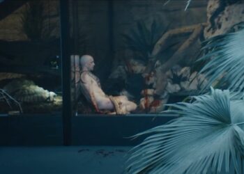 Nederlandse dierentuinen decor voor gruwelijke scènes in nieuwe thrillerserie