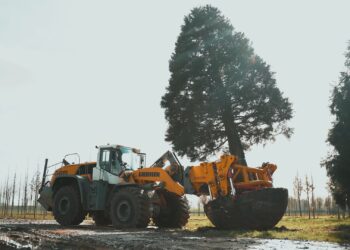 Ouwehands Dierenpark zet Amerikaanse bomen in Australisch themagebied