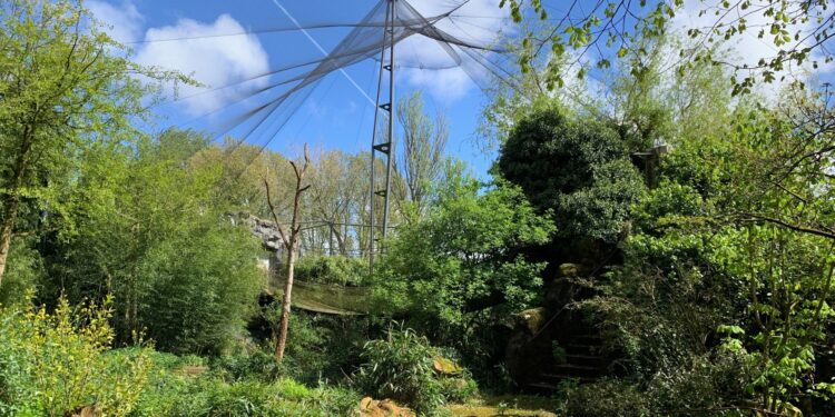 De Grote Vliegkooi wordt aan het einde van dit jaar ontmanteld