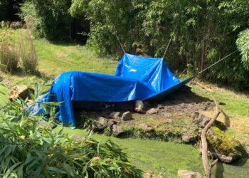 Foto’s: Diergaarde Blijdorp gestart met verbouwing tijgerverblijf