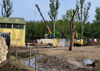 Foto’s: Dierenrijk vernieuwt olifantenverblijf voor komst nieuwe bul