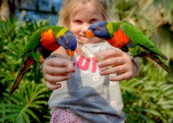 Nieuw beleid Avifauna: betaald parkeren en abonnement veel minder vaak geldig