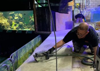 Ouwehands Dierenpark krijgt 8 meter lang zeeaquarium