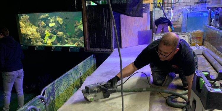 © Aquariumhuis Romberg