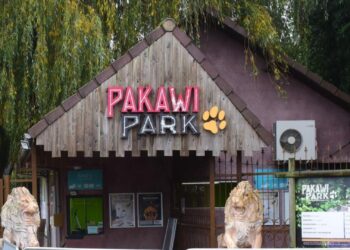 Belgische dierentuineigenaar veroordeeld tot jarenlange gevangenisstraf