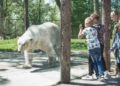 Foto’s: Ouwehands Dierenpark opent eerste koalaverblijf in Nederland