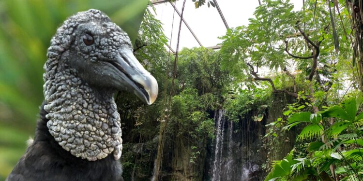 Afbeelding ter illustratie