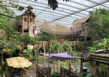 Wildlands Emmen breidt verder uit met drie nieuwe diersoorten
