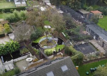 Foto’s: nieuwe dierentuin in België opent bijna haar deuren
