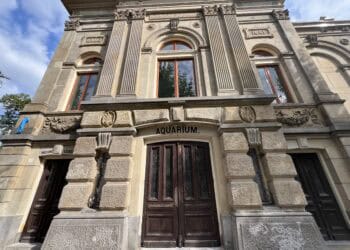 Binnenkijken: zo ziet het gesloten Artis-Aquarium er op dit moment uit