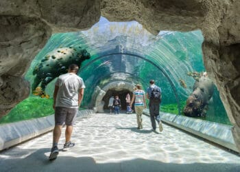 Foto’s: plannen voor gigantische tropische kassen in Duitse dierentuin