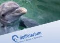 Man krijgt parkverbod voor smokkelen van vis in Dolfinarium