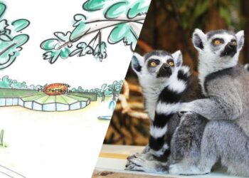 Buurtbewoners tegen plannen voor nieuwe dierentuin in Gelderland