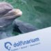 Man krijgt parkverbod voor smokkelen van vis in Dolfinarium