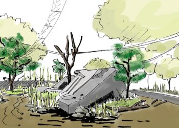 Deze twee diersoorten gaat Artis houden op de voormalige apenrots