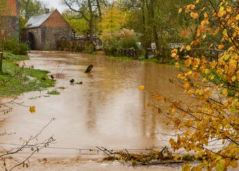 Belgische dierentuin Pairi Daiza overstroomd na hevige regenval