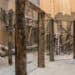 Openingsdatum bekend nieuw chimpanseeverblijf DierenPark Amersfoort
