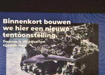 Diergaarde Blijdorp bouwt nieuwe beleving met dieren uit Noordzee