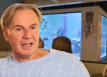 Miljonair onthult prijskaartje van gigantisch haaienaquarium