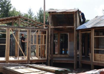 Opening nieuw themagebied in Gelders dierenpark uitgesteld