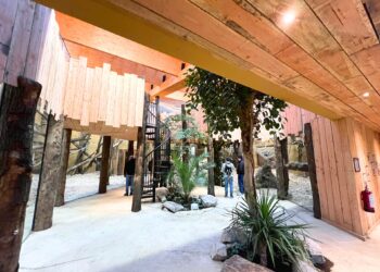 Foto’s: DierenPark Amersfoort opent nieuw chimpanseeverblijf