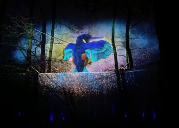 Geen apen, maar ijsvogels te zien tijdens winterevenement Apenheul