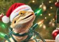 Reptielenpark Serpo zet vliegtuigbom op kerstkaart