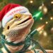 Reptielenpark Serpo zet vliegtuigbom op kerstkaart