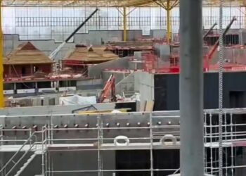 Unieke beelden: een kijkje in de nieuwe tropische kas van Pairi Daiza