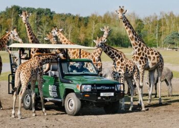 Verhoogde parkeerkosten Beekse Bergen plots weer aangepast: ‘interne miscommunicatie’