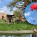 Parachutist landt in mensapenverblijf Ouwehands Dierenpark