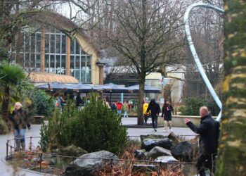 Medewerker Blijdorp onterecht ontslagen na stelen van koekjes: dierentuin moet 50.000 euro betalen