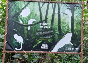 Wildlands Emmen onthult bouwplannen: nieuw verblijf voor luiaards en andere diersoorten